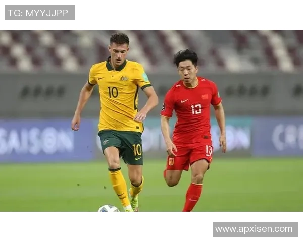 北京排球队阵地战体系解析与战术创新探讨