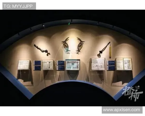 杭州排球队的实力分析与未来发展展望探讨